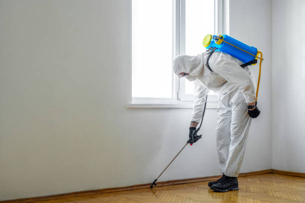 Best Affordable Pest Control Services  in Weidman, MI