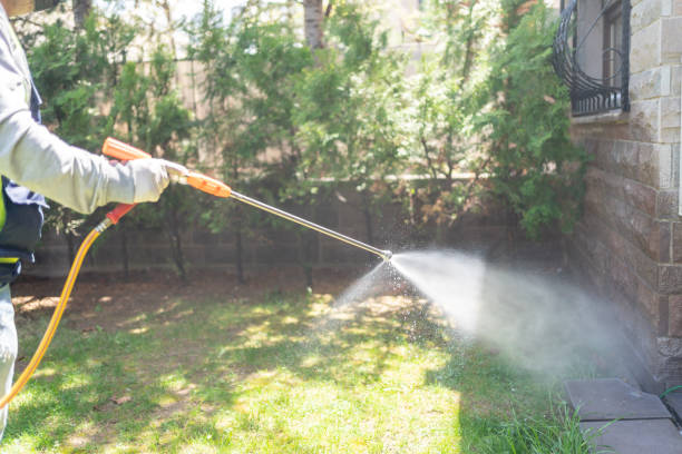 Spider Control Near Me in Weidman, MI