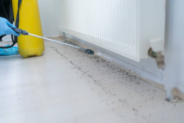 Best Pest Control Near Me in Weidman, MI