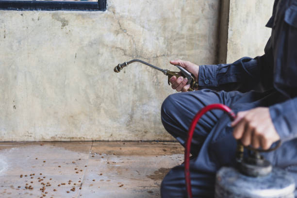 Best Pest Inspection Near Me  in Weidman, MI